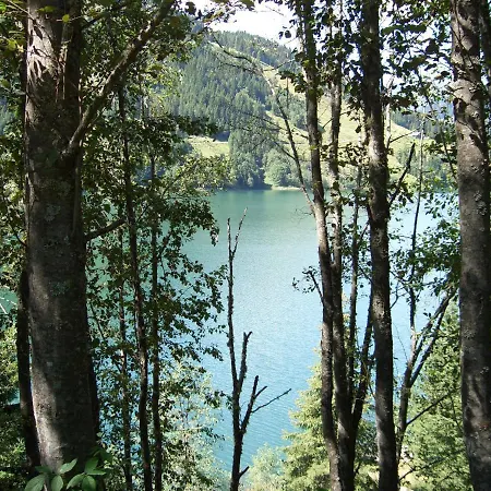 Gaestehaus Elfriede Gerlos