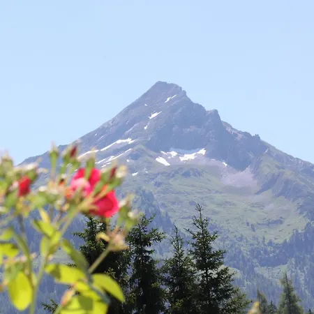 Gaestehaus Elfriede