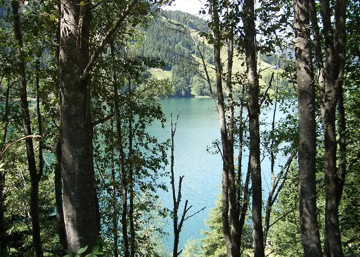 Gaestehaus Elfriede Gerlos